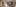 Header Handelhof5 2048X900